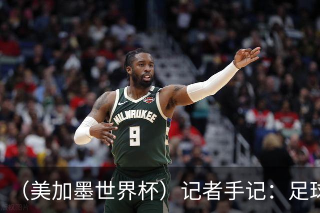 （美加墨世界杯）记者手记：足球世界，规则谁定？